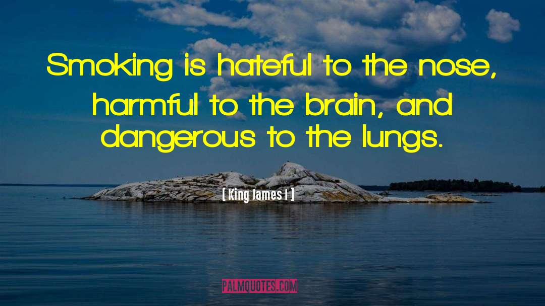 Dangerous Jobs quotes by King James I