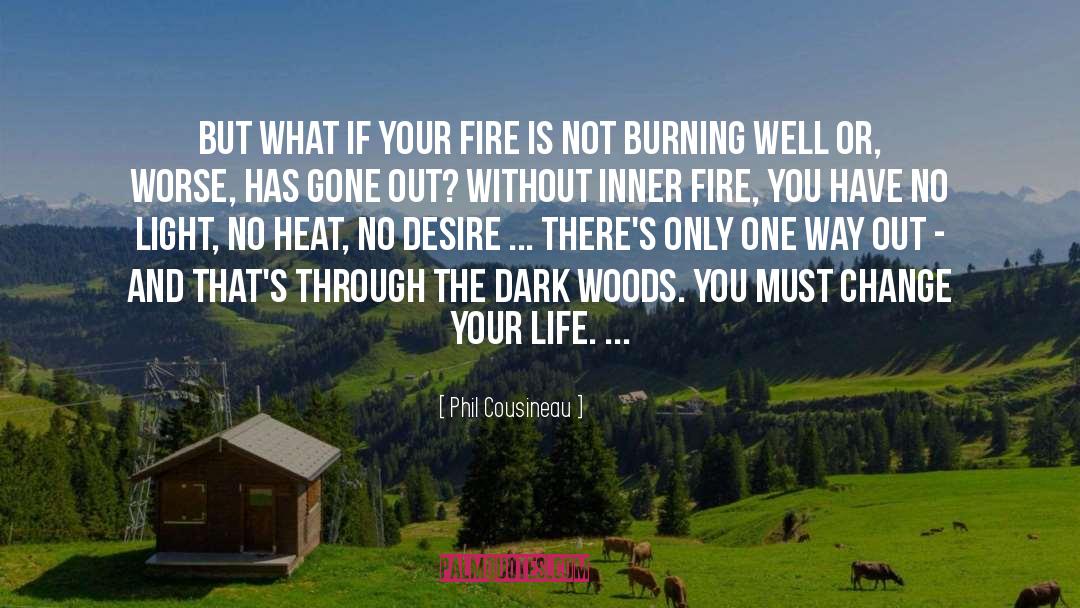 Dangerous Light Desire quotes by Phil Cousineau