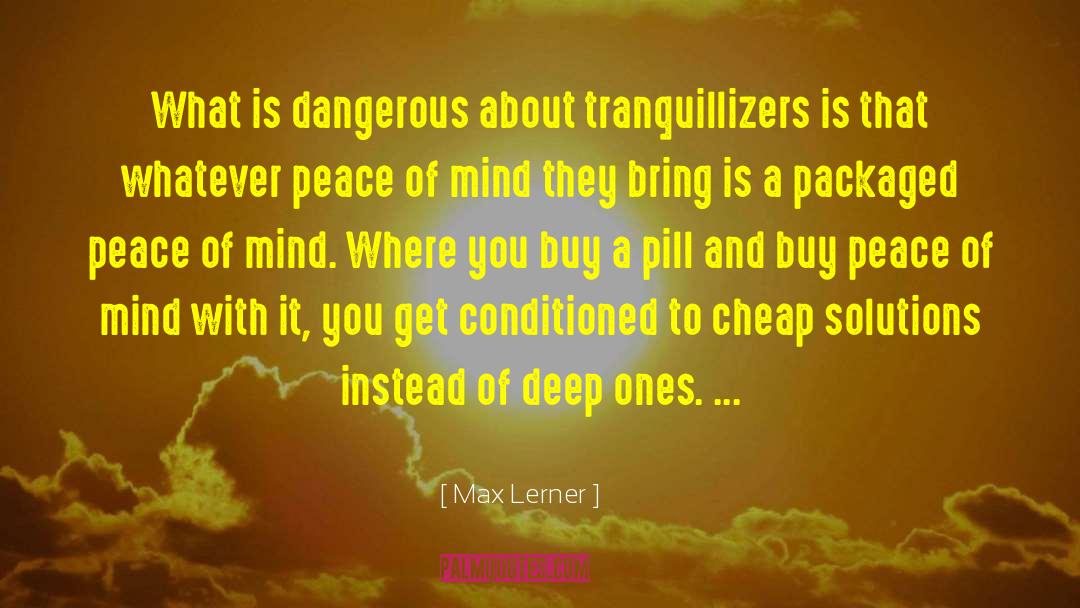 Dangerous Mind Movie quotes by Max Lerner