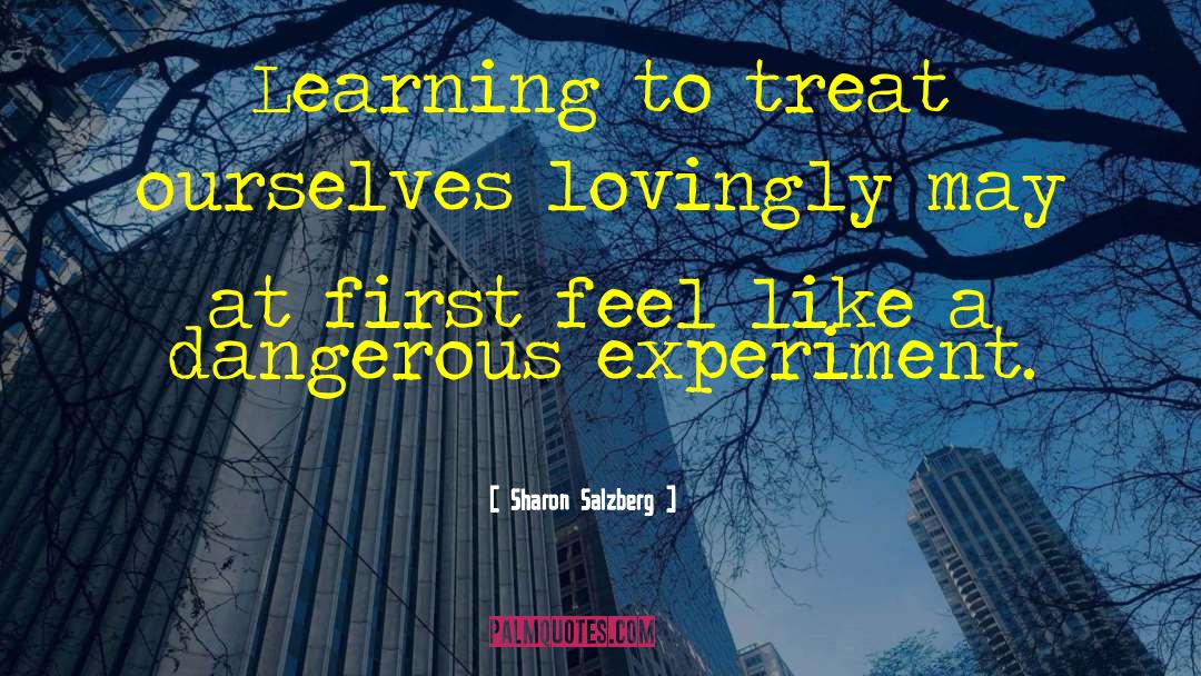 Dangerous Philosophy quotes by Sharon Salzberg