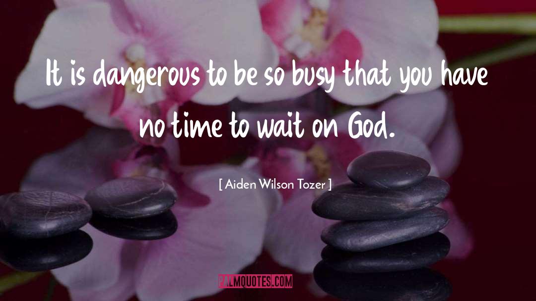 Dangerous quotes by Aiden Wilson Tozer