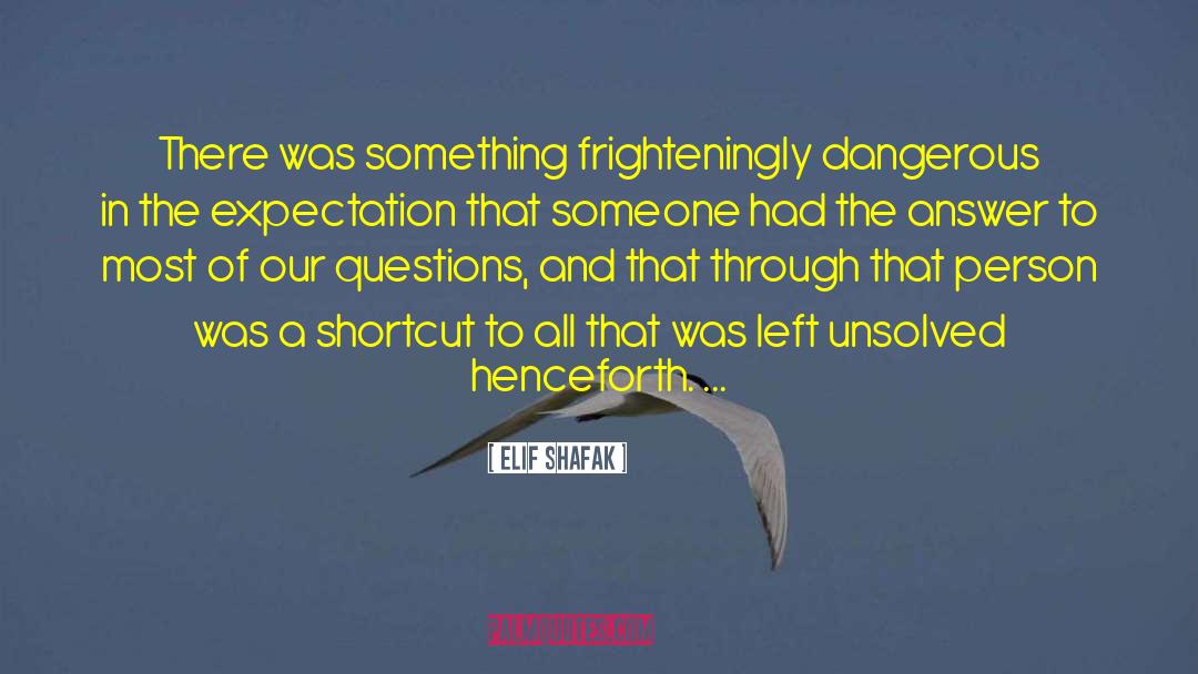 Dangerous Situations quotes by Elif Shafak