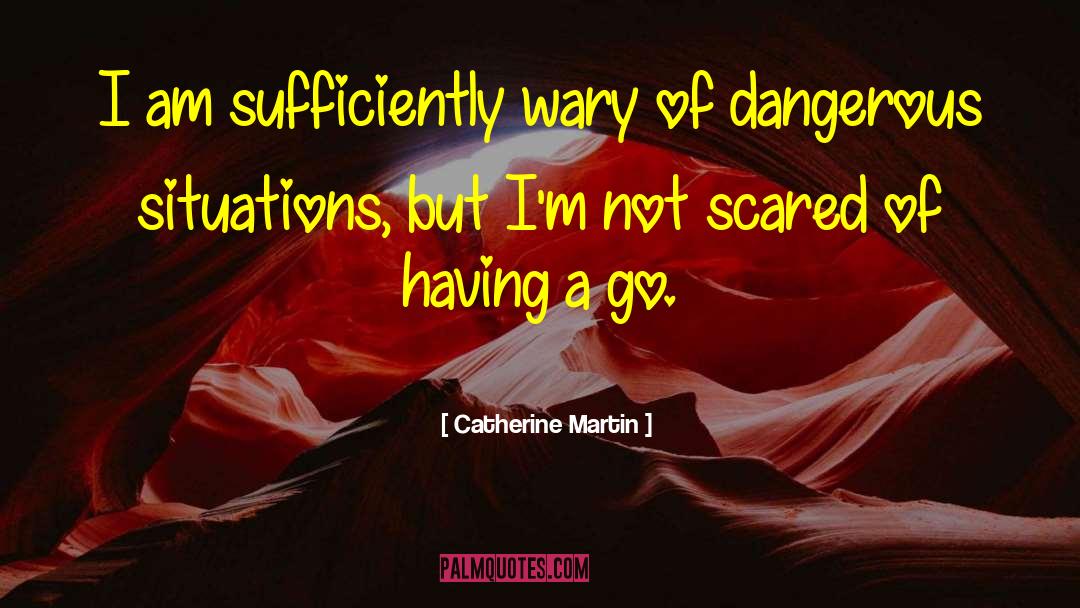 Dangerous Situations quotes by Catherine Martin