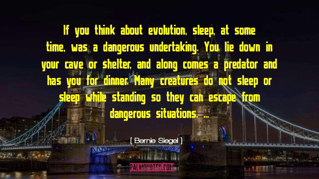 Dangerous Situations quotes by Bernie Siegel