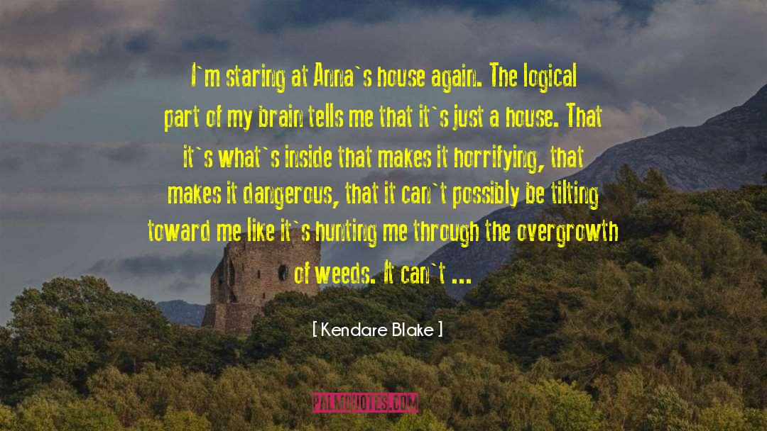 Dangerous Speech quotes by Kendare Blake