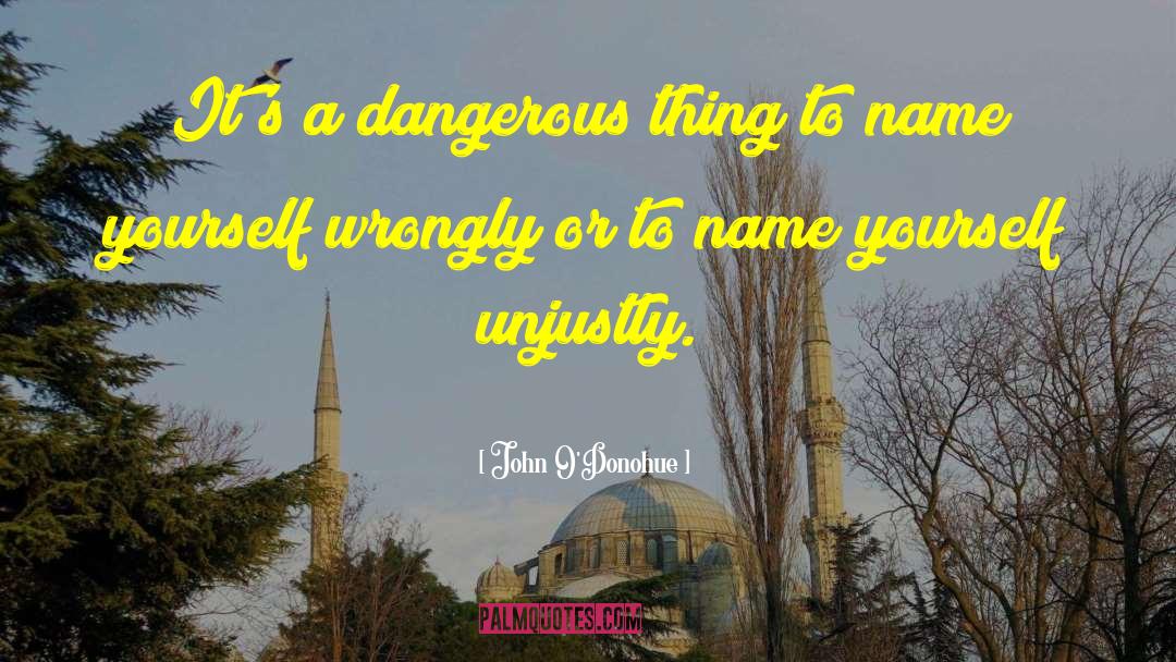 Dangerous Things quotes by John O'Donohue