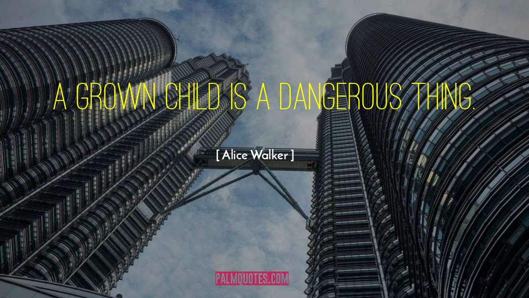 Dangerous Things quotes by Alice Walker