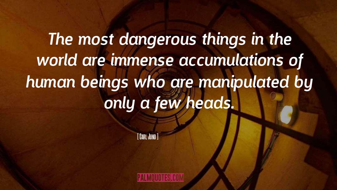 Dangerous Things quotes by Carl Jung