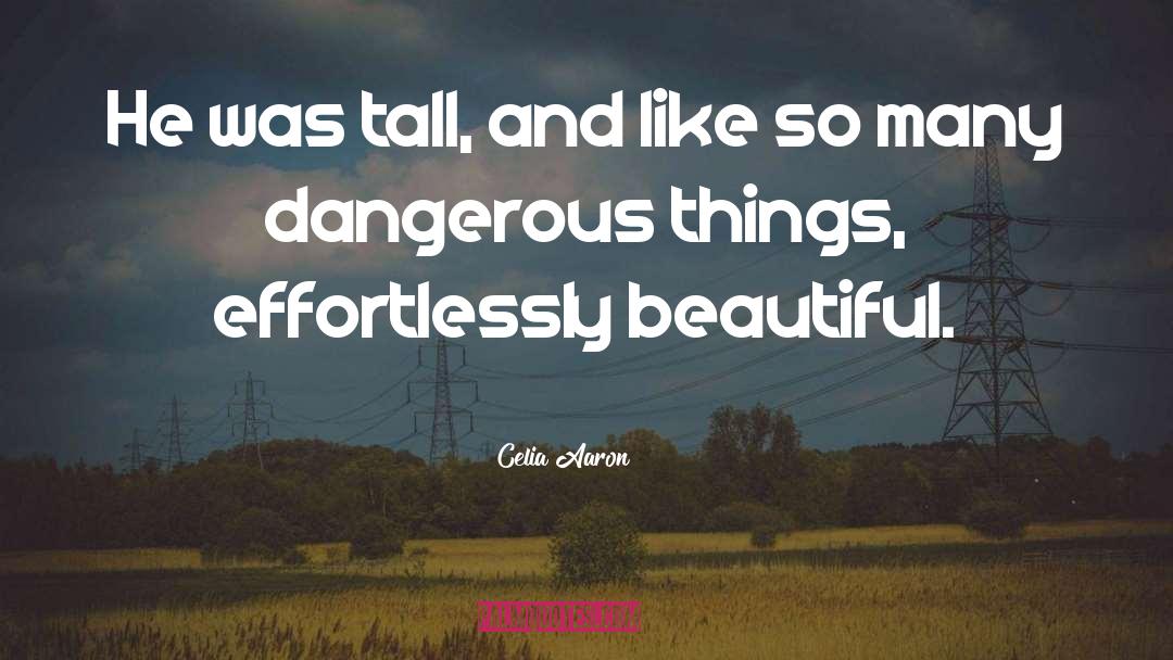 Dangerous Things quotes by Celia Aaron