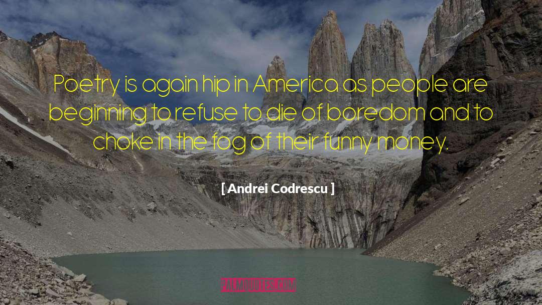 Dangers Of Money quotes by Andrei Codrescu