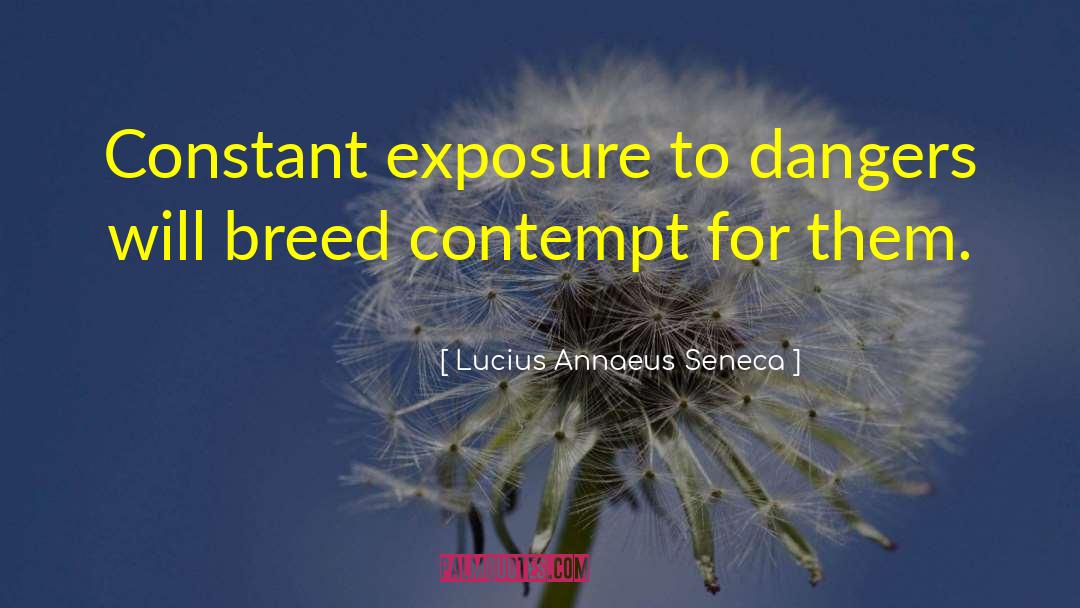 Dangers quotes by Lucius Annaeus Seneca