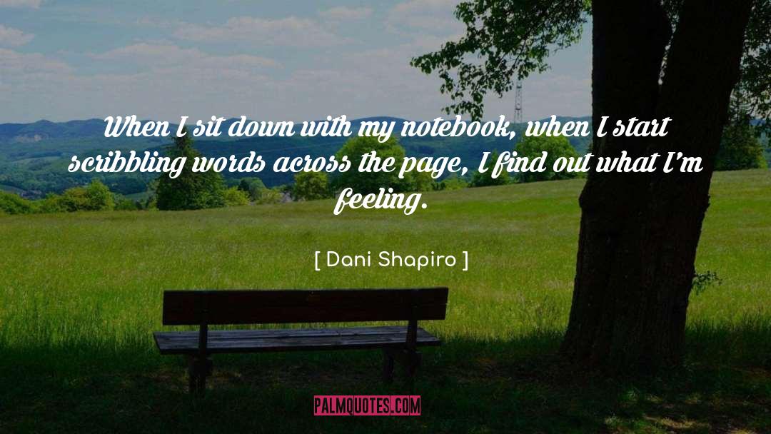 Dani Harper quotes by Dani Shapiro