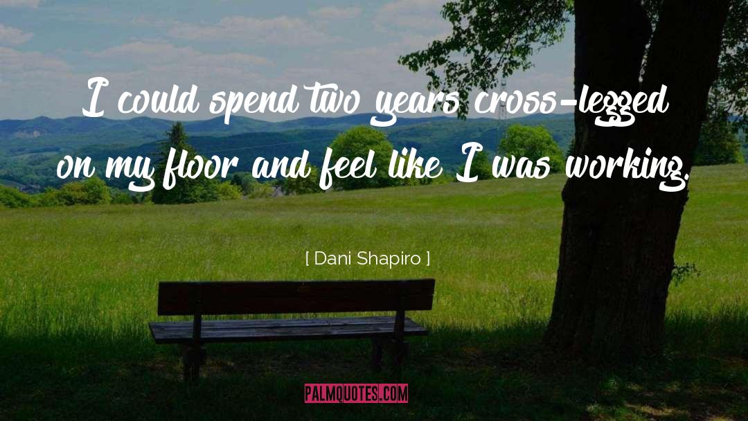 Dani Harper quotes by Dani Shapiro