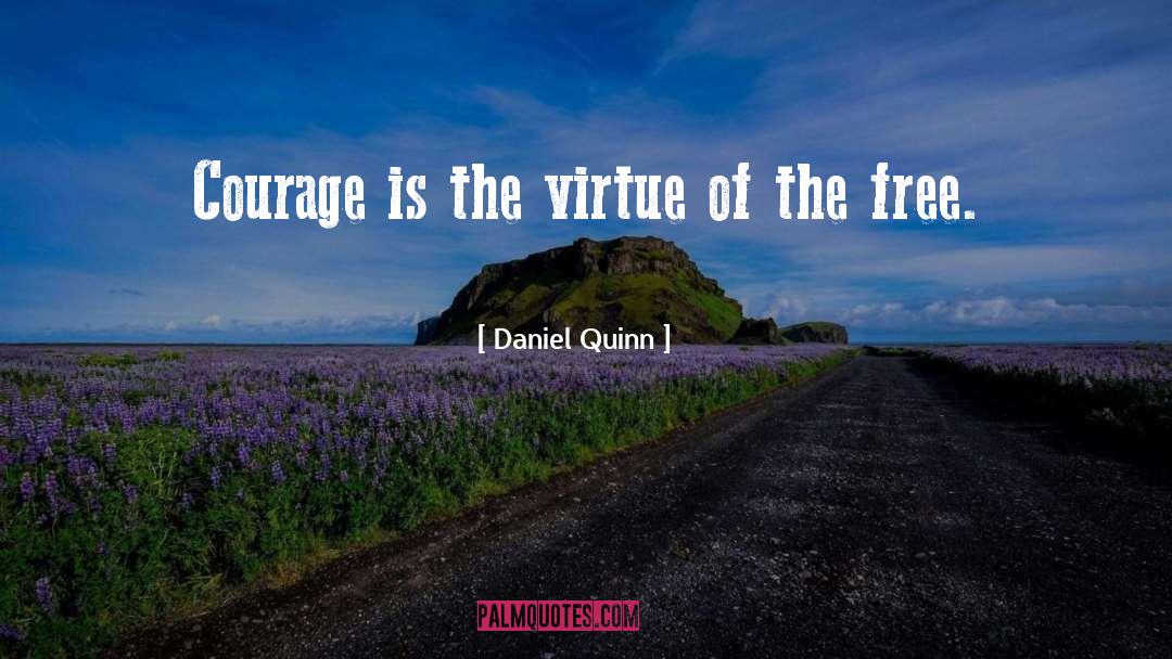 Daniel Grayson quotes by Daniel Quinn