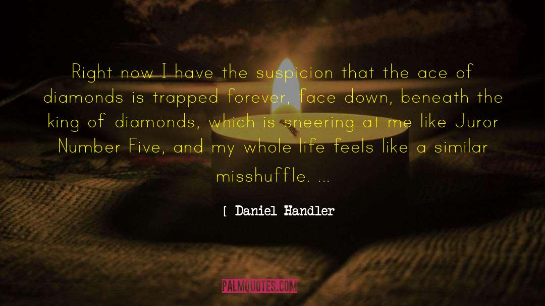 Daniel Haws quotes by Daniel Handler