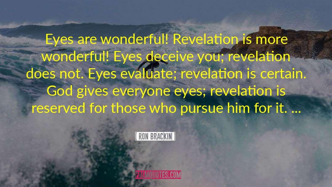 Daniel S Vision quotes by Ron Brackin