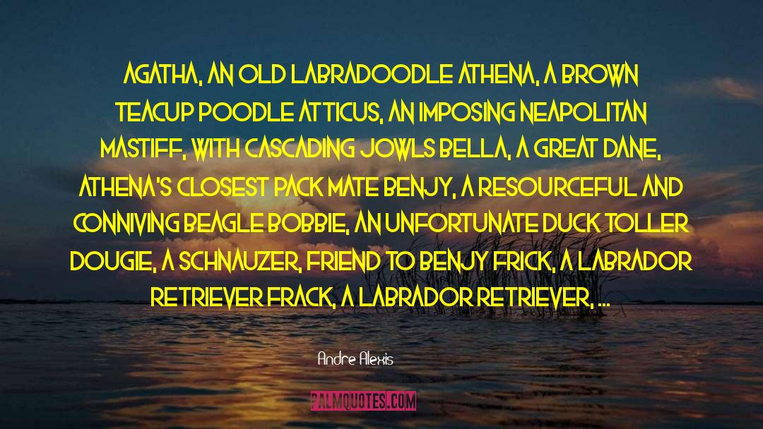 Daniels Duck quotes by Andre Alexis
