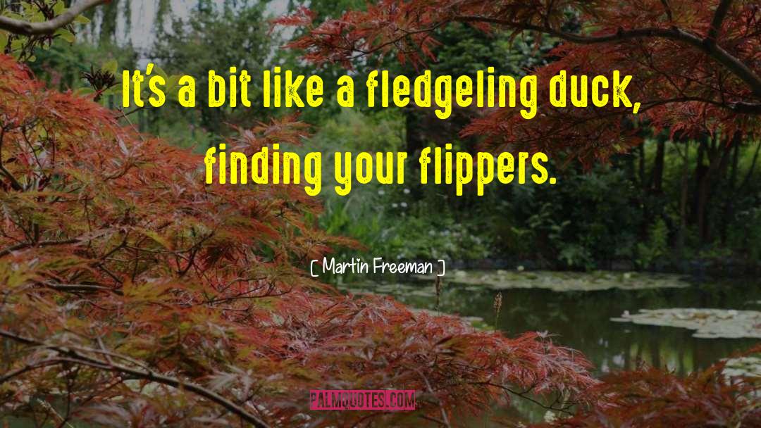 Daniels Duck quotes by Martin Freeman