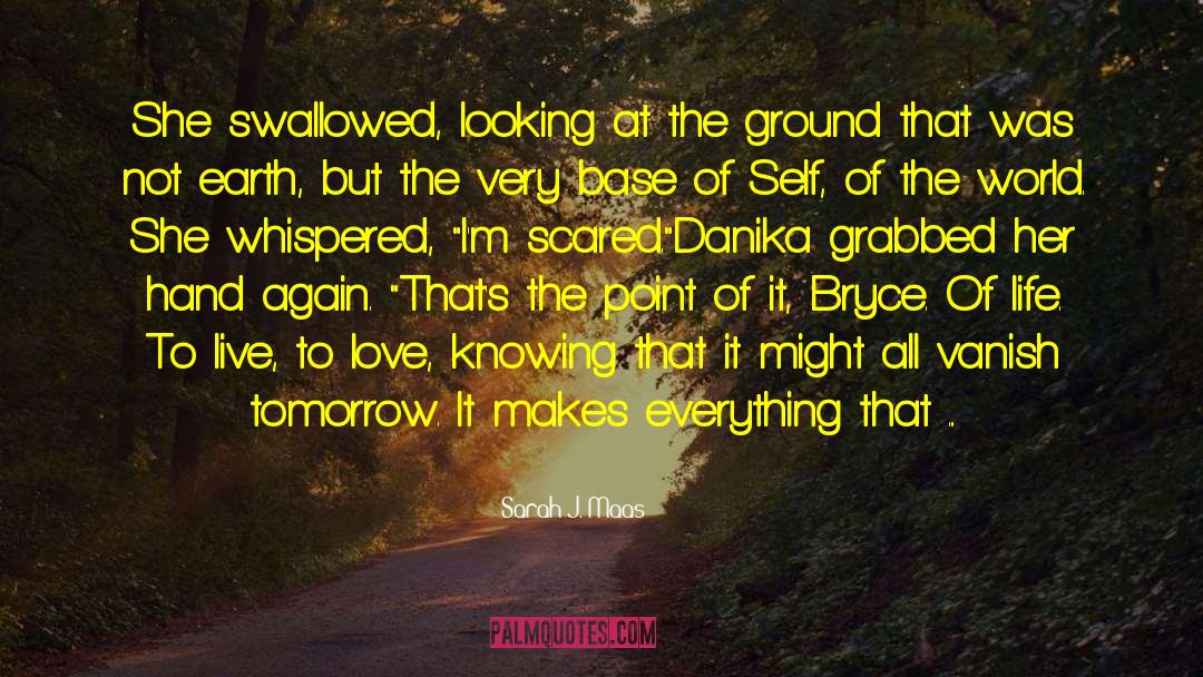 Danika quotes by Sarah J. Maas