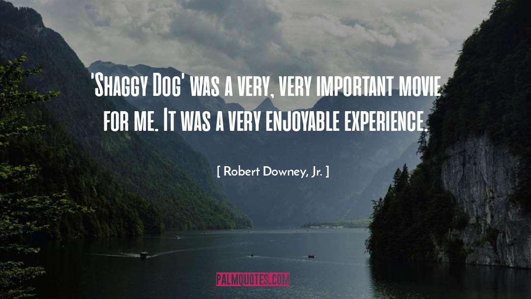 Danler Dog quotes by Robert Downey, Jr.