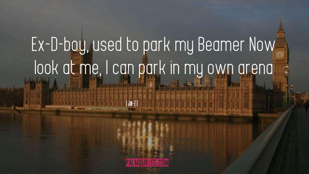 Dannelly Park quotes by Jay-Z
