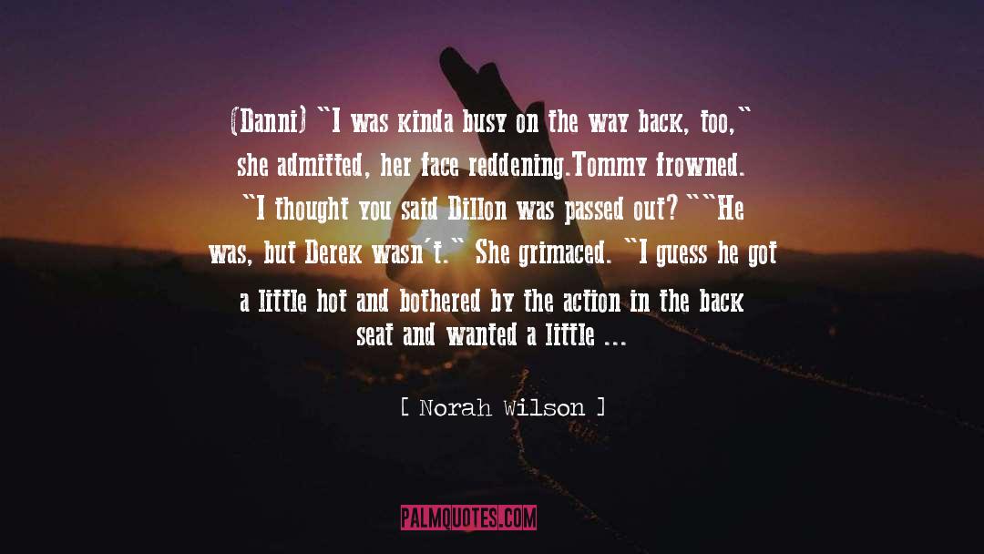 Danni Lowinski quotes by Norah Wilson