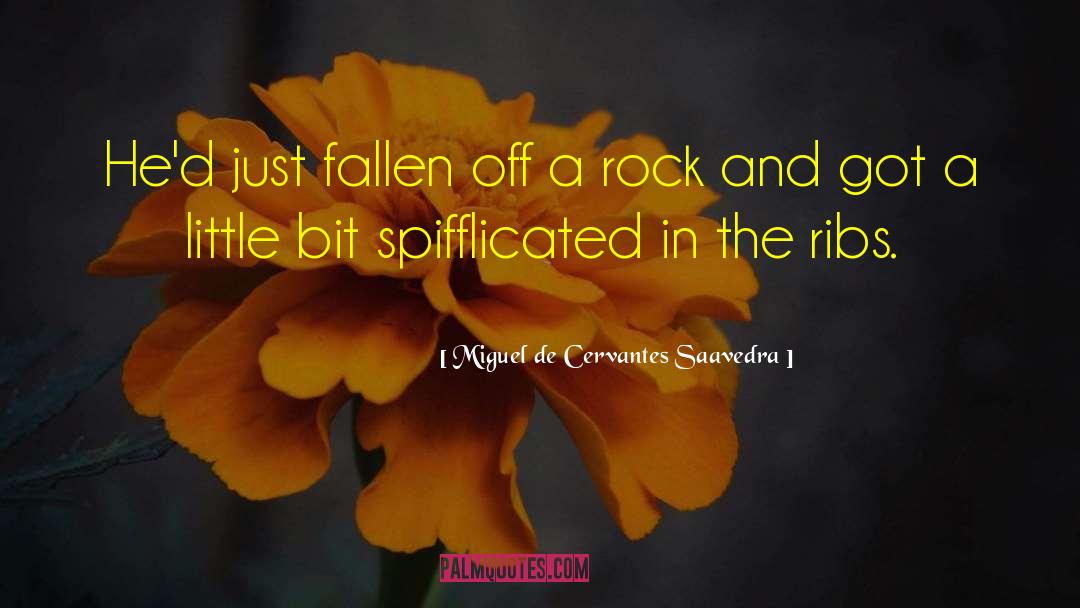Danseurs De Rock quotes by Miguel De Cervantes Saavedra