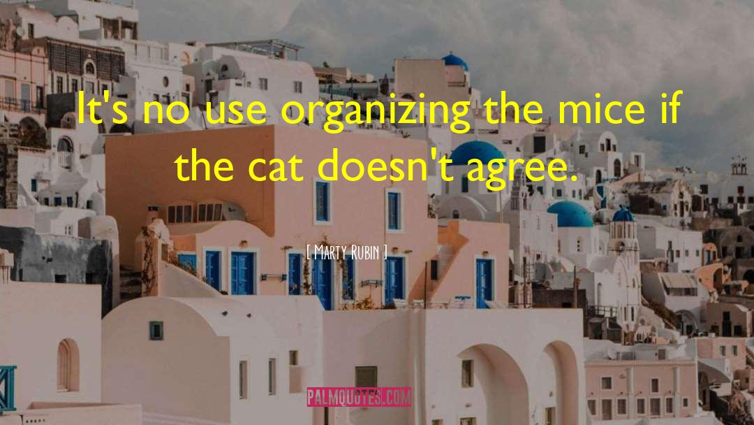 Danyan Cat quotes by Marty Rubin