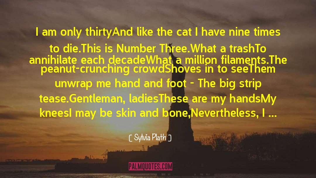 Danyan Cat quotes by Sylvia Plath