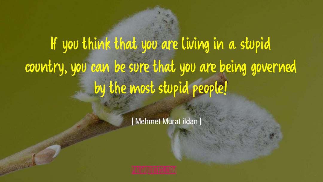 Dappy Stupid quotes by Mehmet Murat Ildan