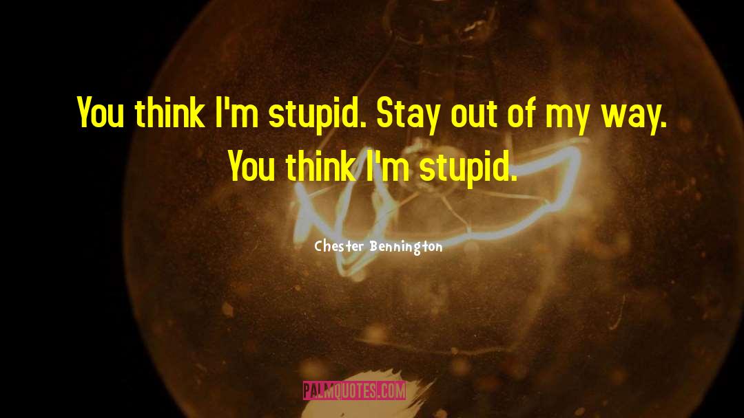 Dappy Stupid quotes by Chester Bennington