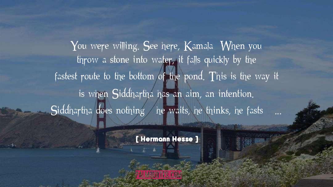 Daranak Falls quotes by Hermann Hesse