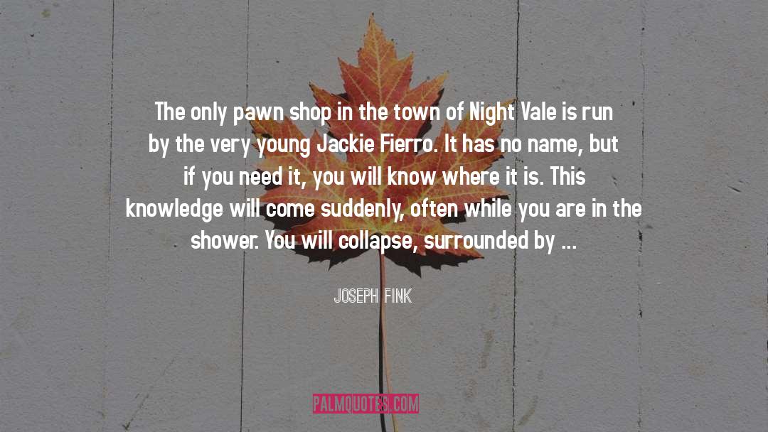 Darcy Town quotes by Joseph Fink