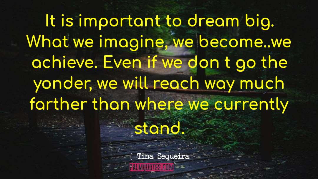 Dare To Dream Big quotes by Tina Sequeira