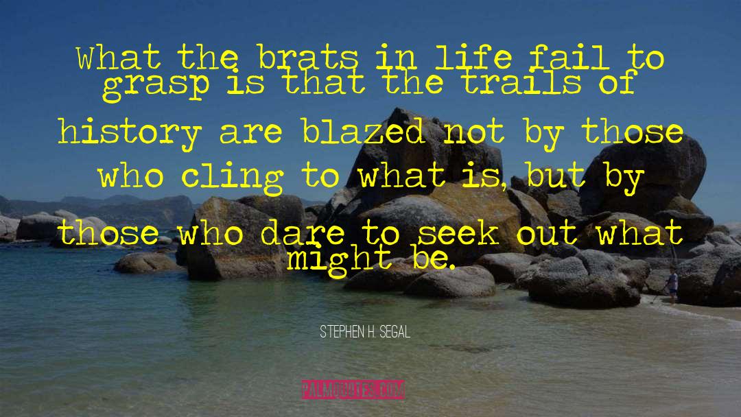 Dare To Seek quotes by Stephen H. Segal