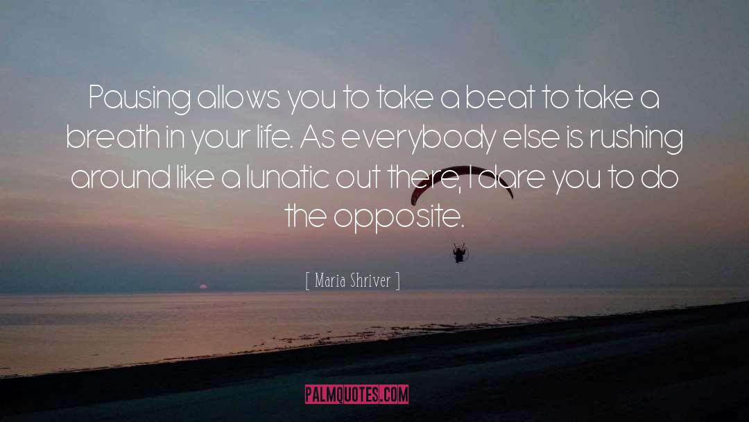 Dare You To quotes by Maria Shriver