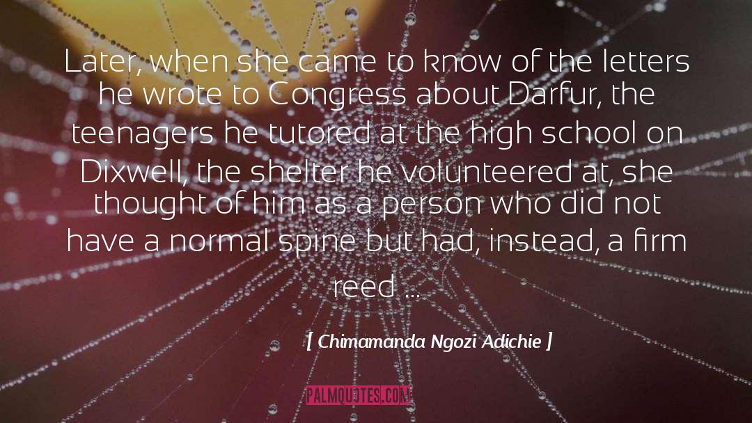 Darfur quotes by Chimamanda Ngozi Adichie