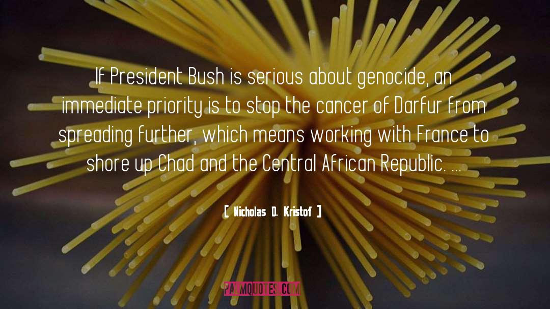 Darfur quotes by Nicholas D. Kristof