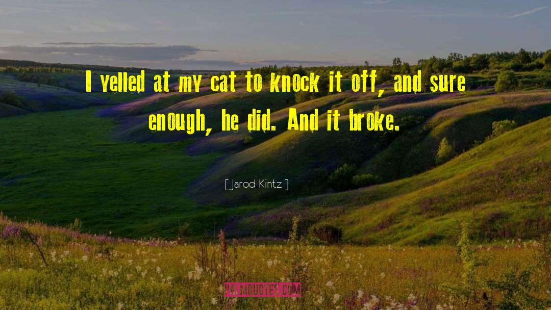 Dargel Cat quotes by Jarod Kintz