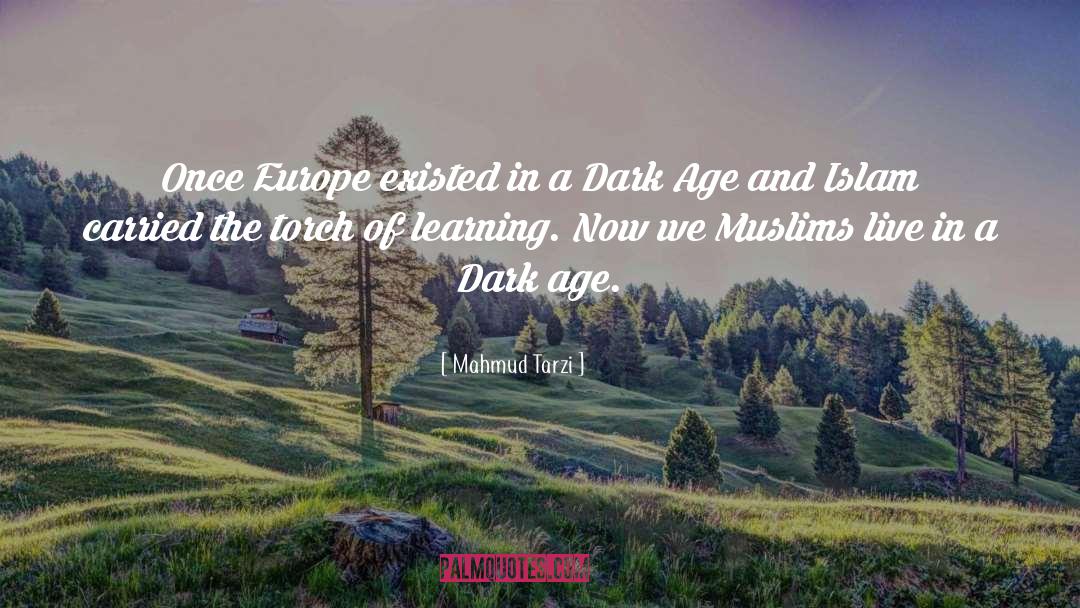 Dark Age quotes by Mahmud Tarzi