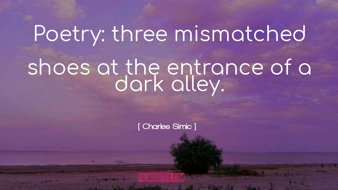 Dark Alleys quotes by Charles Simic