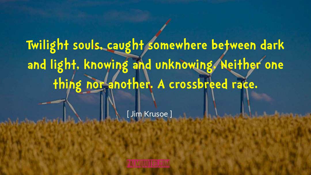 Dark And Light quotes by Jim Krusoe