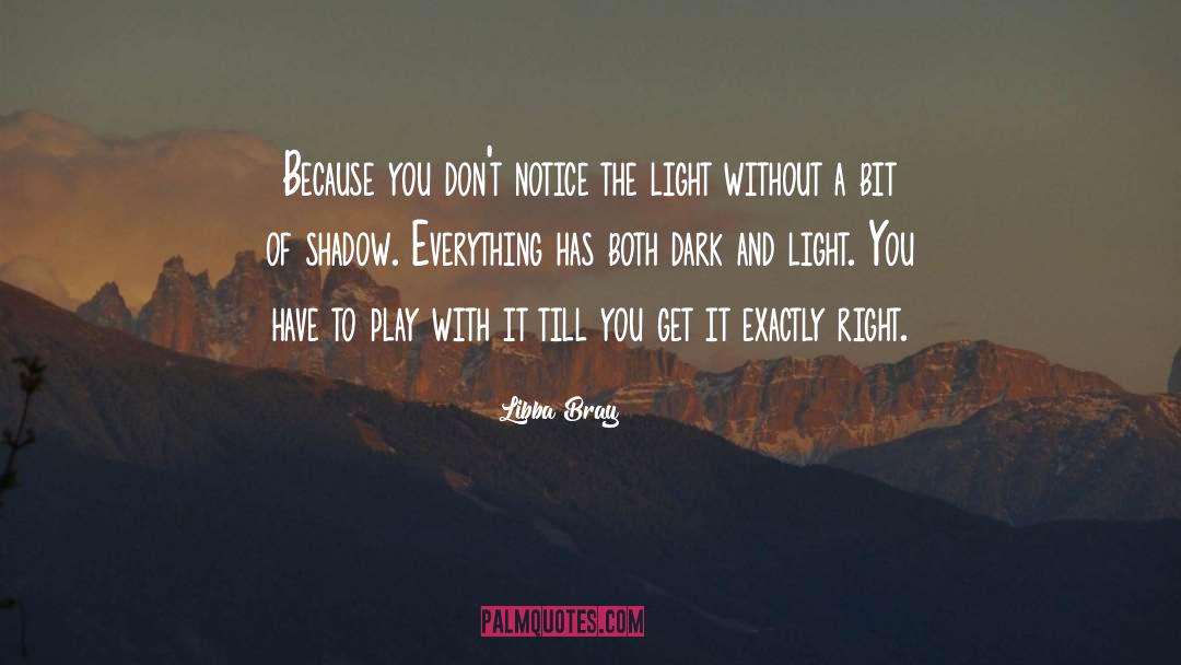 Dark And Light quotes by Libba Bray
