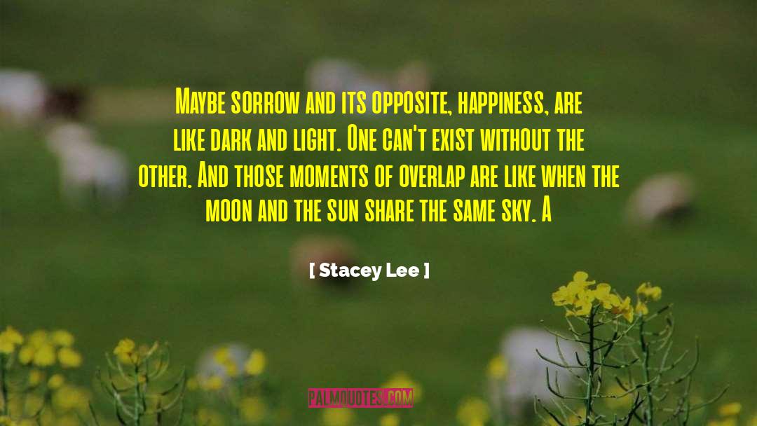 Dark And Light quotes by Stacey Lee