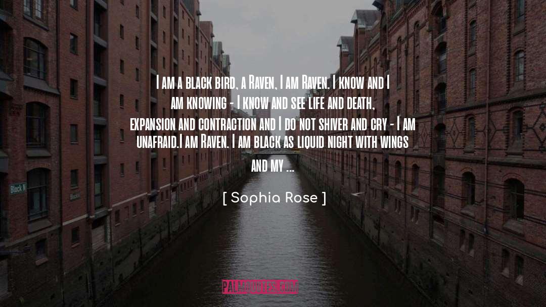 Dark And Light quotes by Sophia Rose