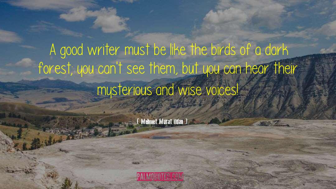 Dark Bird quotes by Mehmet Murat Ildan