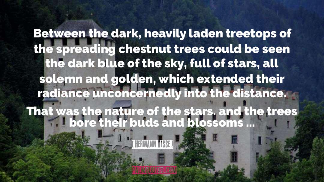 Dark Blue quotes by Hermann Hesse