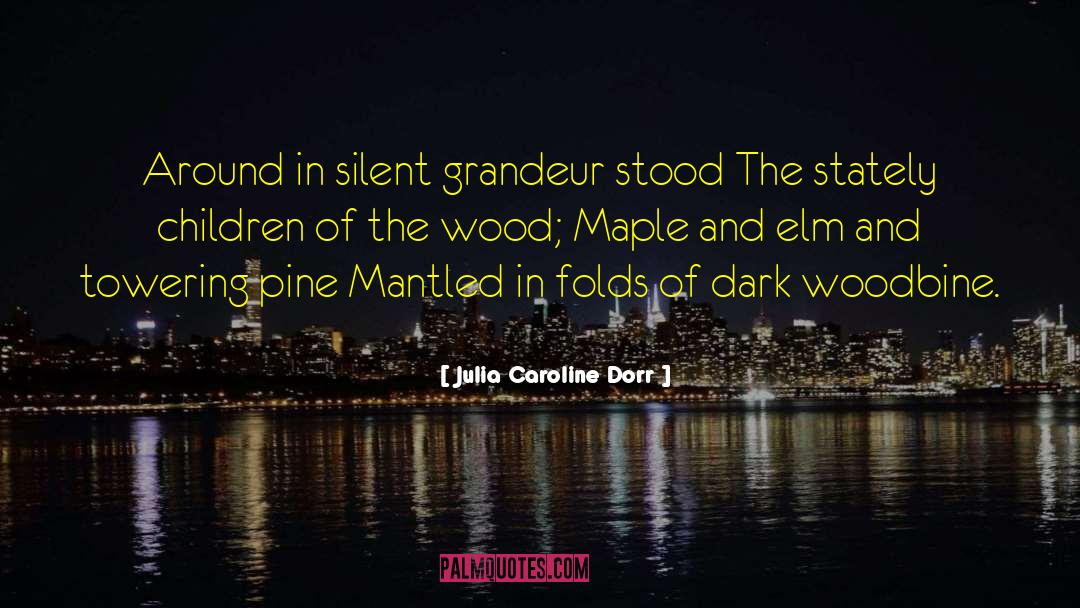 Dark Caster quotes by Julia Caroline Dorr