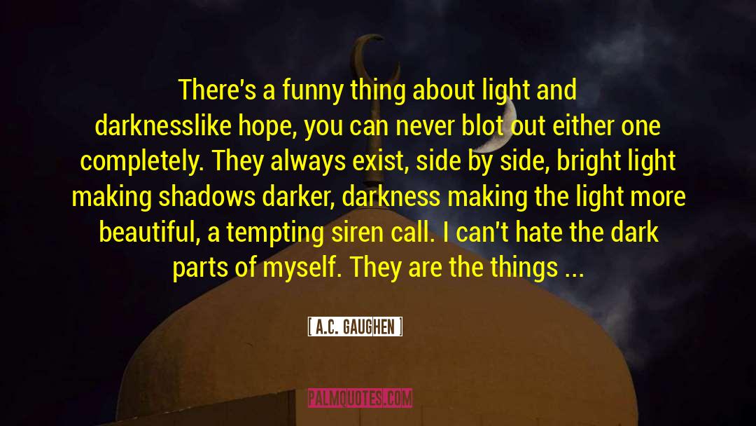 Dark Colors quotes by A.C. Gaughen