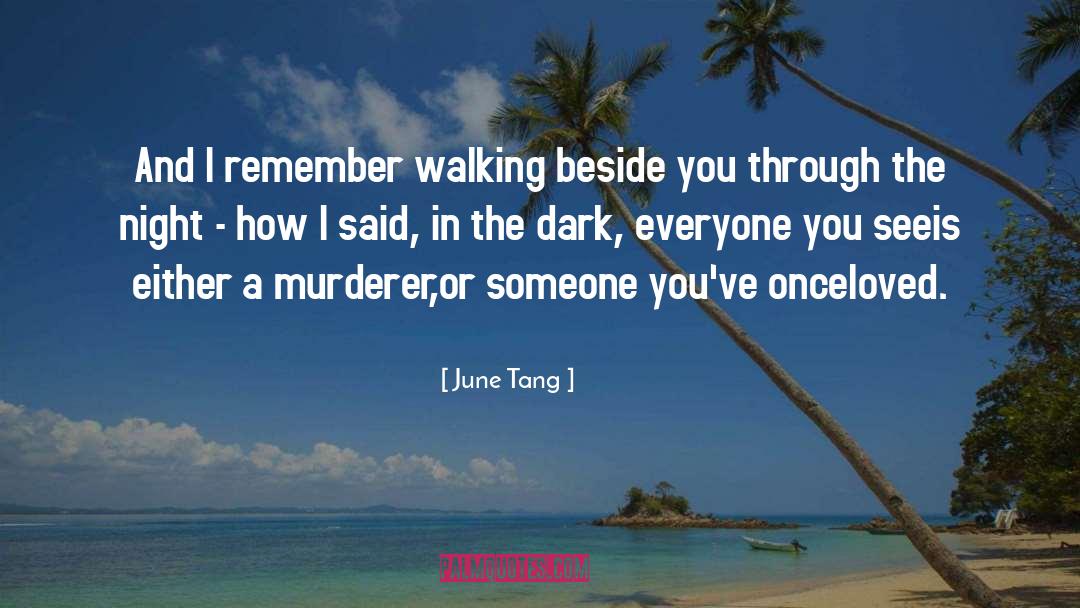 Dark Dance quotes by June Tang